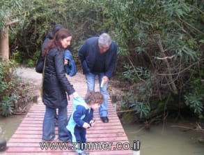 שמורת%20טבע%20נחל%20עיון%20-%20מפל%20%20התנור%20,%20מטולה